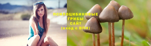 дживик Алзамай