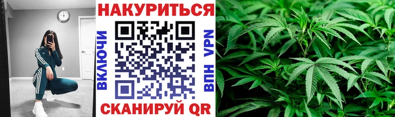Бошки Шишки VHQ  Николаевск 